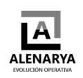 evolución operativa